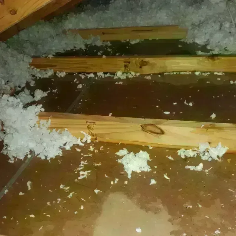 Attic Water Damage in Little Rock Air Force Base, AR